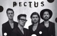 Pectus | koncert