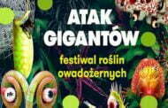 Atak Gigantów | Festiwal Roślin Owadożernych