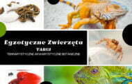 Targi Egzotyczne Zwierzęta w Łodzi