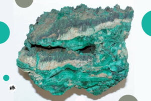 Noc Muzeów 2026 w Muzeum Geologicznym UŁ