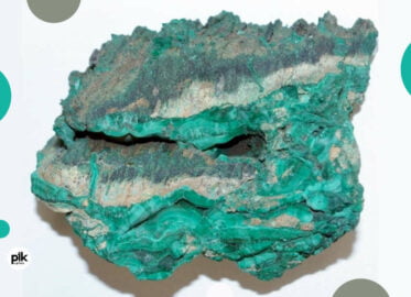 Noc Muzeów 2025 w Muzeum Geologicznym UŁ
