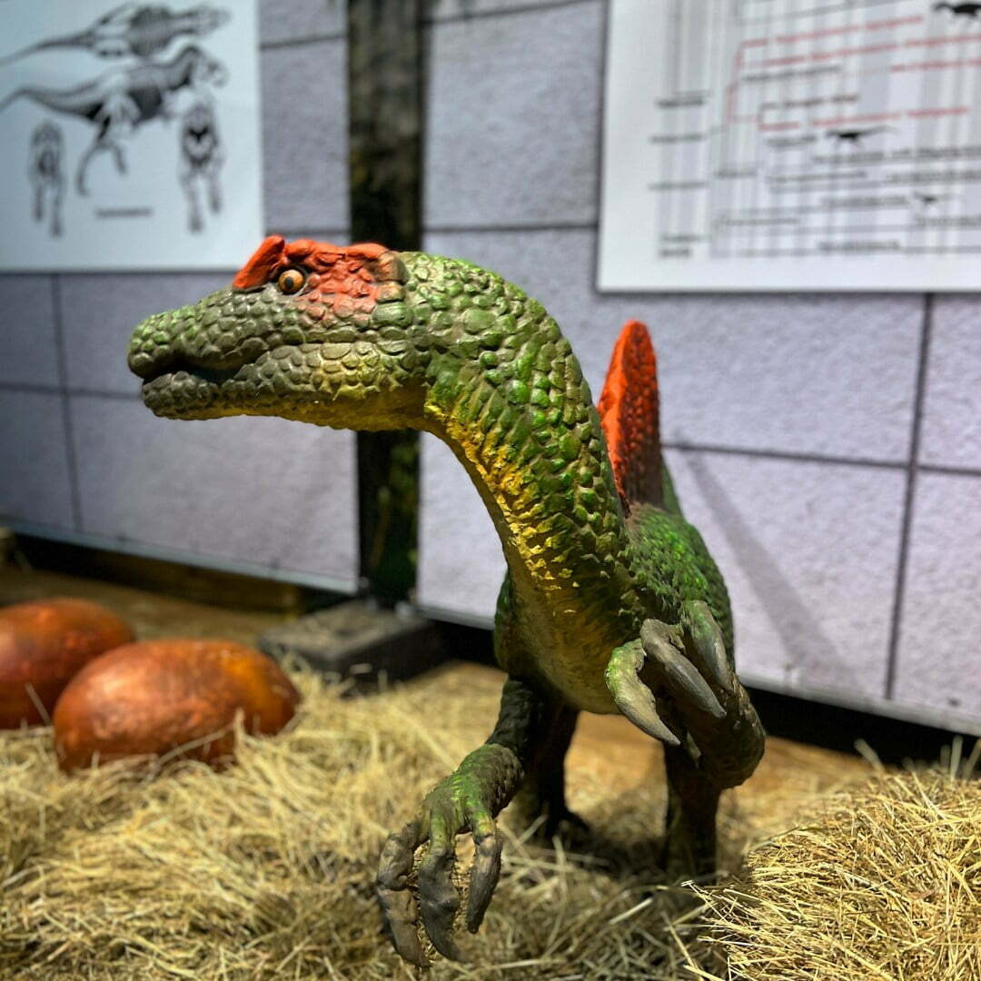 Dinopark-lodz-2